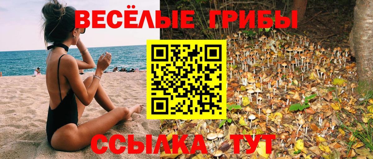 Ржев  Галлюциногенные грибы Magic Shrooms  Вход с VPN 